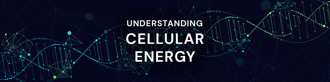 UNDERSTANDING CELLULAR ENERGY: A COMPREHENSIVE REVIEW FOR HEALTH CARE PROVIDERS